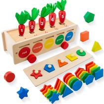 Caixa de classificação Montessori Toys Ganaj Wooden Color Shape de 1 ano ou mais