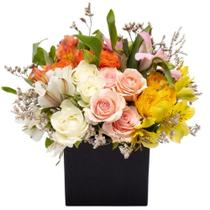 Caixa de Flores Ambre