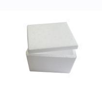 Caixa de isopor 0,4L 10 peças