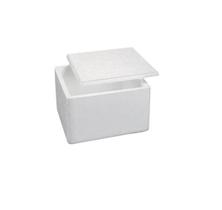 Caixa De Isopor 1kg Medicamento / Sorvete / insulina 1,5L Caixa De Isopor 1kg Medicamento / Sorvete / insulina 1,5L