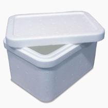 Caixa De Isopor 2 Litros Eps Kit 10 Unid Sorvetes E Gelatos