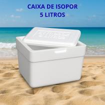 Caixa de Isopor 5 Litros Térmica Conservadora Portátil para Bebidas e Alimentos Caixa de Isopor 5 Litros Térmica Conservadora Portátil para Bebidas e Alimentos
