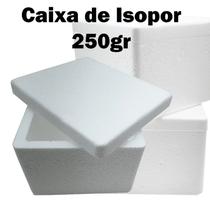 Caixa de isopor com 10 unid, 250gr ideal para viagem, sorvete e congelados Caixa de isopor com 10 unid, 250gr ideal para viagem, sorvete e congelados