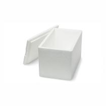 Caixa de isopor para sorvete 250g - ISOFORT Caixa de isopor para sorvete 250g - ISOFORT