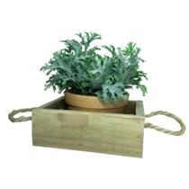 Caixa de madeira e vaso de cerâmica com planta artificial - Dünne It