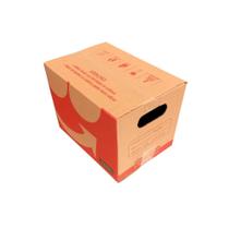 Caixa de Papelão Ifood Vermelha Tamanho P