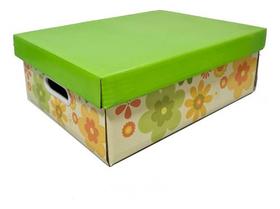 Caixa De Papelão Organizadora Média - G12m Tampa Verde e caixa Florida