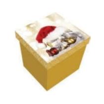 Caixa de Presente Acoplada Natal gorro PP