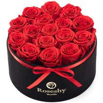Caixa de Presente com 16 Rosas Preservadas Flowers Roseshy Forever Caixa de Presente com 16 Rosas Preservadas Flowers Roseshy Forever