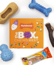 Caixa de presente para cães de nylon com 4 brinquedos e guloseimas de borracha Strong Chew