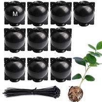 Caixa de propagação Lazzineer Tree Root Growing 10 unidades médias