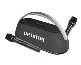 Caixa De Som Bluetooth Peining 100 a 300w Rms 24000mah Rgb Com 2 Microfones