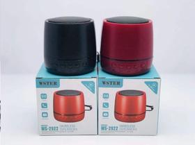 Caixa de som mini bluetooth ws-2922 - WSTER