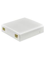 Caixa De Terminacao Optica Evus 2 Fibras Pto