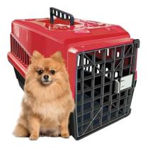 Caixa De Transporte Cães Pequenos Pinscher Gato Número 1 - Brinq Pet