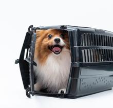 Caixa De Transporte N3 Black Para Cães E Gatos - Pet Injet