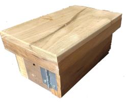 Caixa didática para abelha lambe olhos e preguiça