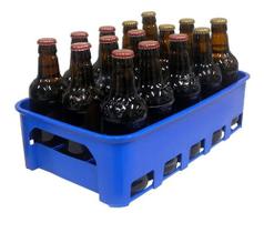 Caixa Engradado Garrafeira Cerveja 300ml P/15 Garrafas (não inclusas) - Azul