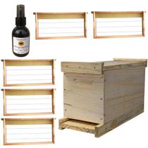 Caixa Isca Nucleo Pinus Abelha Europeia Apis + Atrativo + Cera