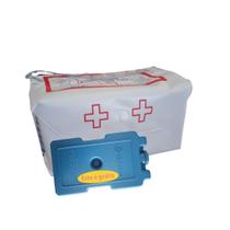 Caixa Isopor Bolsa Térmica Para Transporte De Insulina 1 Litro