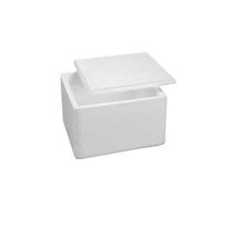Caixa Isopor Térmica 2 Litros Alimento Bebida - Kit 200Un
