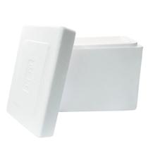 Caixa Isopor Térmica Cerveja Sorvete Remédio Medicamento Refrigerante Gelo Parede Dupla 12 e 44 Litros GelotechBox