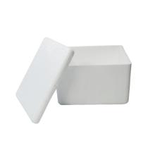Caixa Isopor Térmica Cerveja Sorvete Remédio Medicamento Refrigerante Gelo Parede Simples 1,5 3 8 12 28 44 Litros GelotechBox