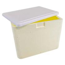 Caixa Isopor Térmico Gelo Alimentos Medicamentos 8 Litros Knauf