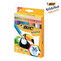Caixa Lapis Cor 36 Cores Bic Evolution Original Kit Escolar Colorido Desenho Estojo Pintar Premium
