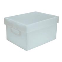 Caixa Multiuso M Com Pegador Cristal (370 X 280 X 212 mm) - Polibras