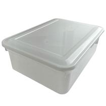 CAIXA ORGANIZADORA 10L 27,8x12,2x38,7CM COM TAMPA BIOPRATIKA 0316