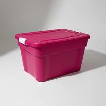 Caixa Organizadora 55L com Tampa e Travas Agraplast Multiuso Ideal para Organização Agraplast 927
