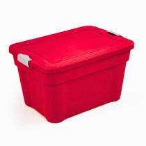 Caixa Organizadora Diversas cores 55L Tampa E Trava Cod 927 Agraplast