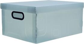 Caixa Organizadora G 42x31x20cm Cristal 2172.H Dello