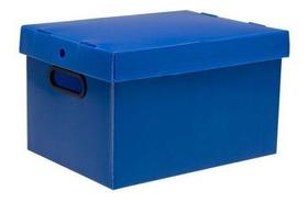 Caixa Organizadora Plástica Prontobox 13,5 L Várias Cores