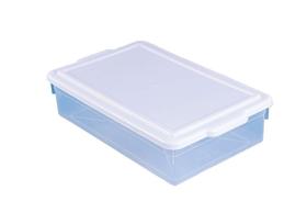 Caixa Organizadora Plástico com Tampa Branca 16,5 L Bioprátika Pleion - PLE 790