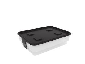 Caixa Organizadora Simple Box 15L