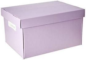 Caixa Organizadora The Best Box G 437X310X240 Llp Caixa Organizadora The Best Box G 437X310X240 Llp