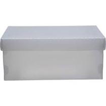 Caixa Organizadora TOP Fine Sapato 28X17X20CM.CRI - Dello