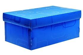 Caixa Organizadora Top Line Sapato 28X17X12Cm.Az