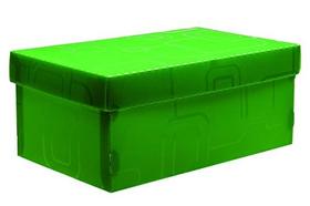 Caixa Organizadora Top Line Sapato 28X17X12Cm.Vd Caixa Organizadora Top Line Sapato 28X17X12Cm.Vd