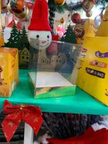 Caixa panetone 250gb