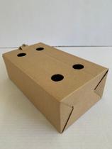 Caixa papelão para 30 picolés Kit com 50 unidades Caixa papelão para 30 picolés Kit com 50 unidades
