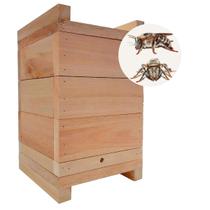 Caixa Para abelhas Sem Ferrão Inpa 15x15 interna para enxame de abelha Tiuba Manduri Mandaçaia - JB Variedades