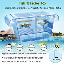 Caixa para criação de peixes Capetsma 31x12x13cm Acrílico Flutuante