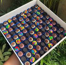 Caixa para Doces - Grande - 10 Unidades