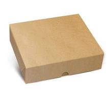 CAIXA PARA PRESENTE CROMUS 17x13,5x4,5cm - KRAFT - KIT COM 10un