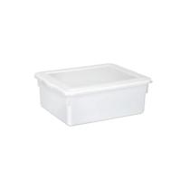 Caixa Plástica 540 C/ Tampa 16,5 Lts