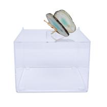 Caixa Porta Capsula em Acrílico com Borboleta em Ágata