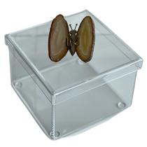 Caixa porta objetos em acrilico 14x14x10 borboleta agata marrom Caixa porta objetos em acrilico 14x14x10 borboleta agata marrom